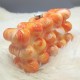 Women Acrylic Clutch Chic Marble Evening Handbag Orange
