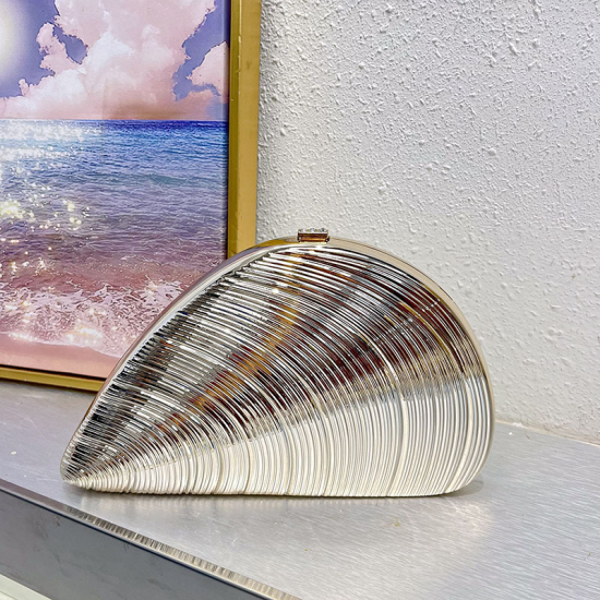 Acrylic Clutch Hobo Bag, Shell Bag Silver