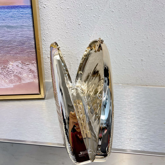 Acrylic Clutch Hobo Bag, Shell Bag Silver